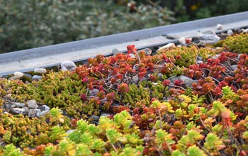 the cost of Low Bridge green roof installation