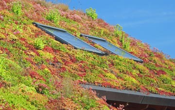 Low Bridge living roof systems