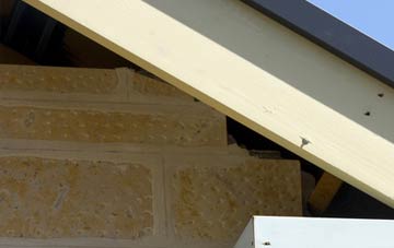 soffit repair Low Bridge